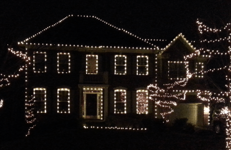 Symmetrical house with wrapped trees