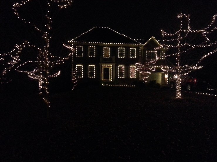 Front elevation with roofline and tree wraps