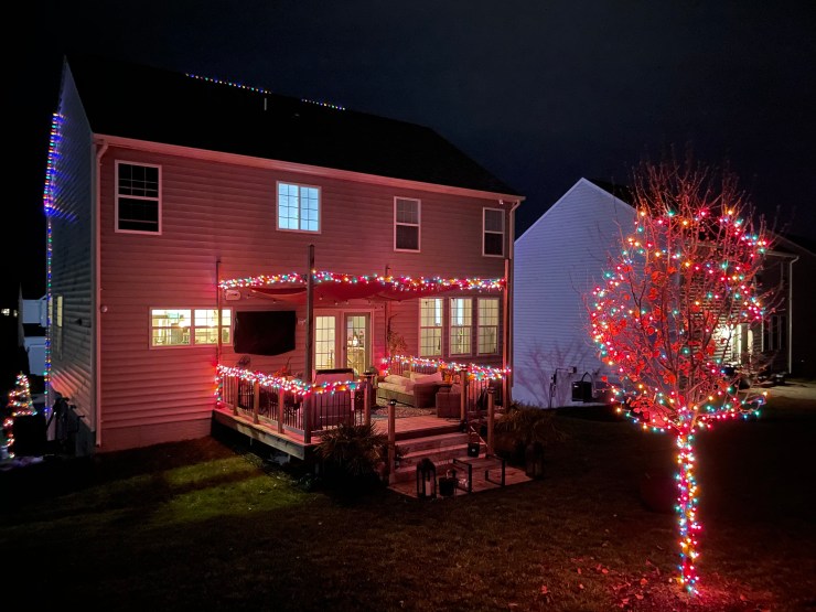 Back patio and tree wrapped in multicolor lights